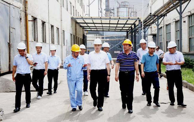 新安縣委副書記、縣長(zhǎng)王智一行到萬(wàn)基控股集團(tuán)調(diào)研