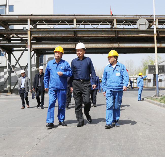 洛陽市副市長(zhǎng)賀敏到萬基控股集團(tuán)調(diào)研